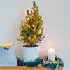 Holiday Christmas